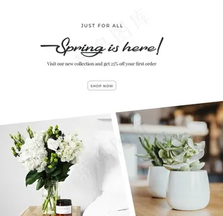 照片图片排版设计