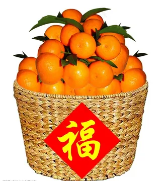 一篓筐蜜桔图片
