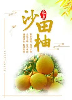 沙田柚海报图片