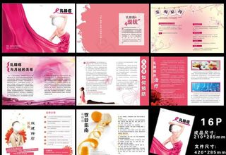 乳腺癌宣传手册 画册图片