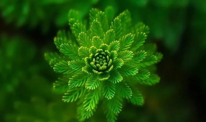 拍摄素材图片