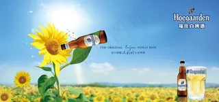 福佳白啤酒海报主视觉图片