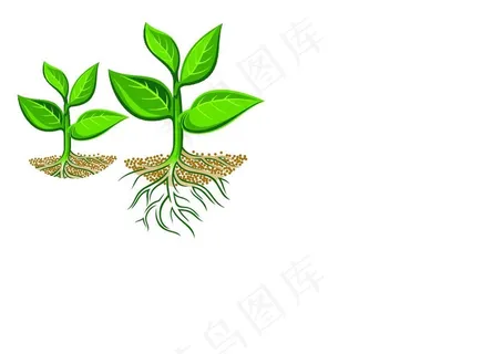 矢量根苗图片