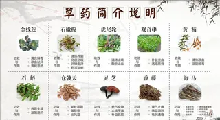 草药简介说明图片