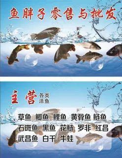 卖鱼名片图片
