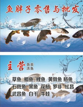 卖鱼名片图片