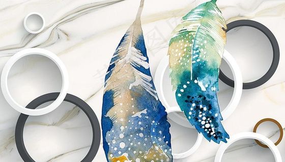 大理石圆圈羽毛图片