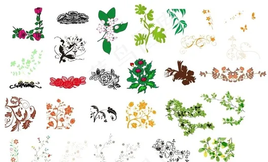 矢量花朵花卉素材图片