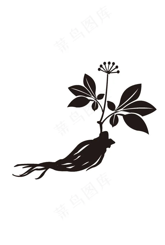 人参图片