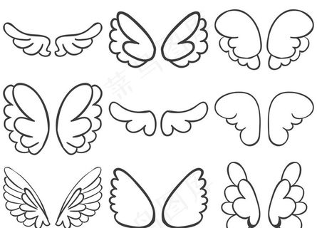 翅膀图片