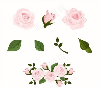 4款粉色玫瑰花和4款叶子矢量图图片