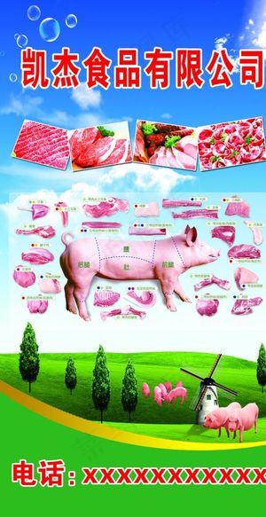 冷鲜肉猪肉分解图图片