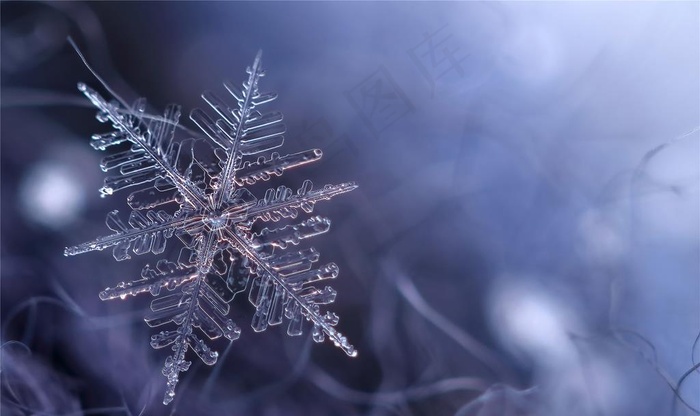 雪花冰花冰霜窗花图片