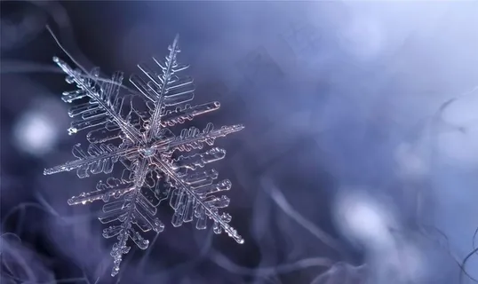 雪花冰花冰霜窗花图片 雪花冰花冰霜窗花图片