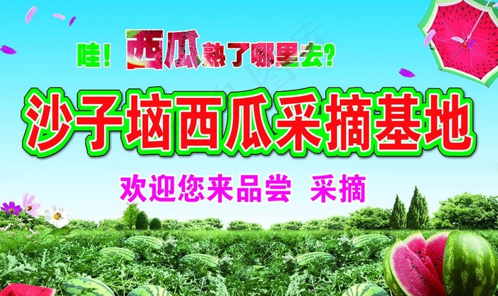 西瓜采摘宣传图片(6299X3937(DPI:40))psd模版下载