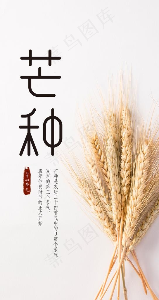 芒种海报图片(1080X1920(DPI:300))psd模版下载