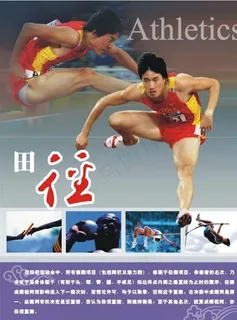体育知识-田径图片