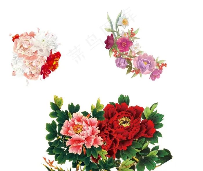 牡丹花图片(3543X3099(DPI:300))psd模版下载
