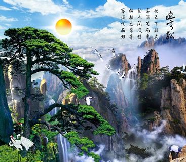 黄山迎客松图片