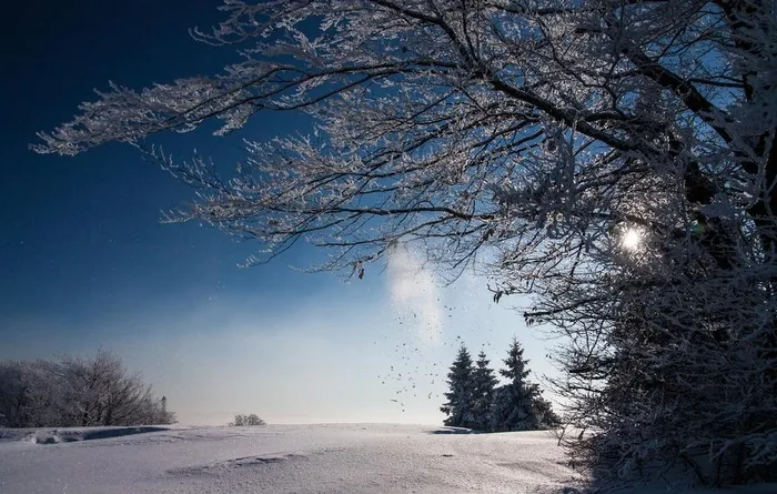 雪地图片