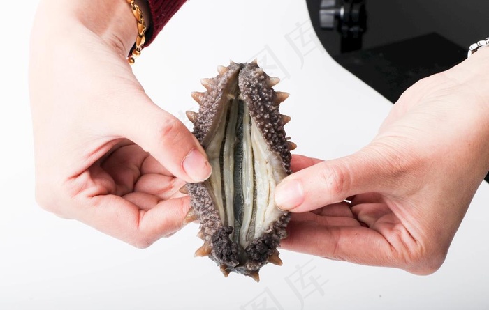 即食海参泡发细节图片