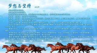 骏马 草原天空图片