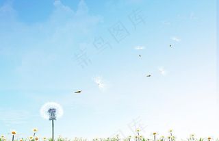 环境保护浅蓝色蒲公英背景图片