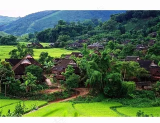 西双版纳 公园风景图片