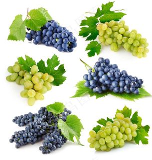 葡萄图片