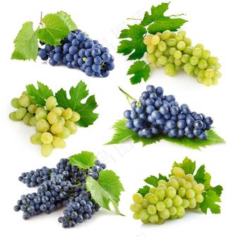 葡萄图片