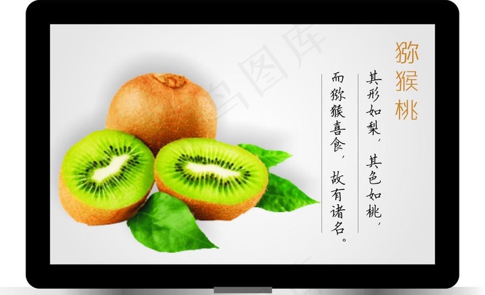 猕猴桃图片cdr矢量模版下载