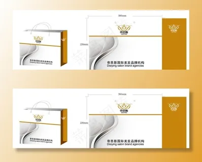 帝思影手提袋图片