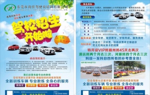 驾校宣传单图片