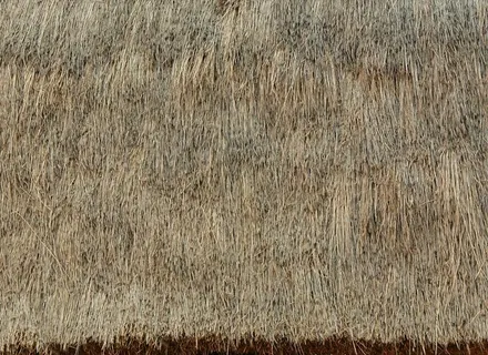 毛草材质贴图 茅草屋顶 茅草图片
