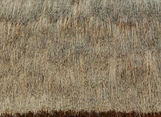 毛草材质贴图 茅草屋顶 茅草图片