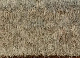 毛草材质贴图 茅草屋顶 茅草图片