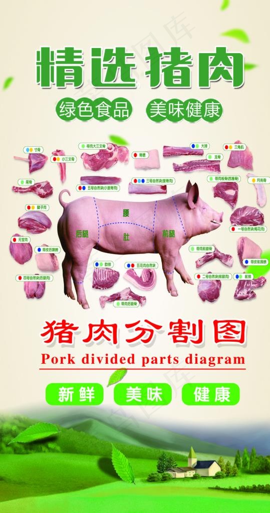 猪肉分割图海报图片