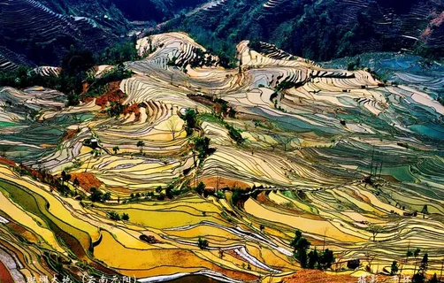 云南元阳老虎嘴梯田图片