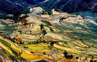 云南元阳老虎嘴梯田图片