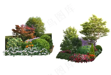 景观设计植物树木组团素材贴图图片