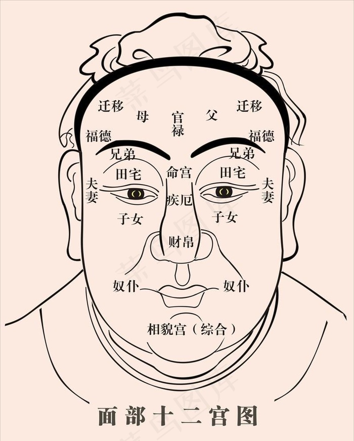 人体面相十二宫图图片cdr矢量模版下载