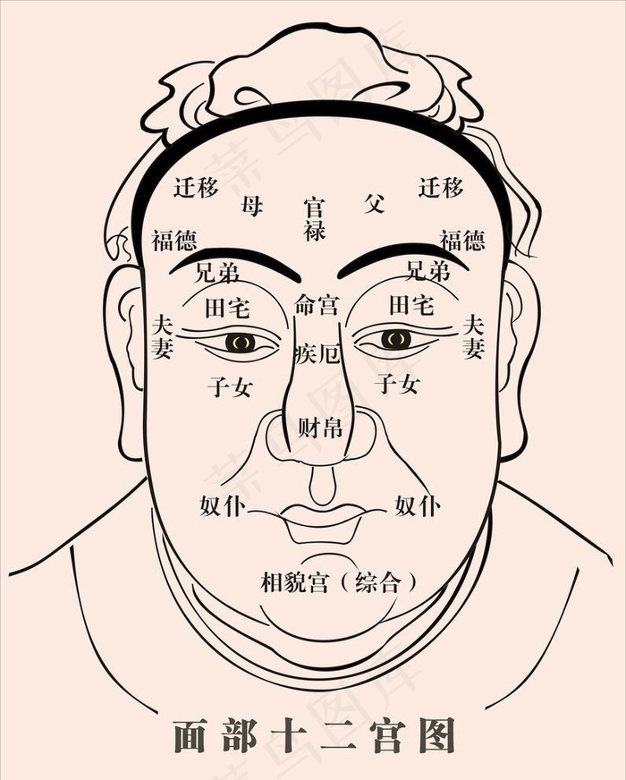 人体面相十二宫图图片cdr矢量模版下载