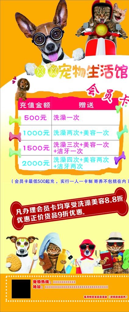 宠物生活馆图片