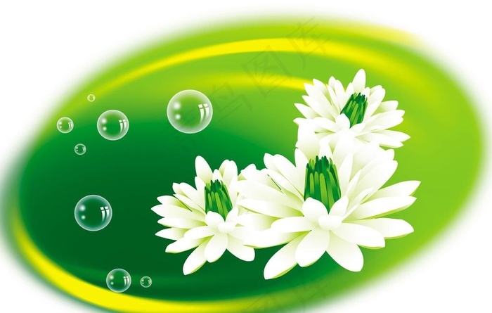 绿花图片(3543X2362(DPI:300))psd模版下载