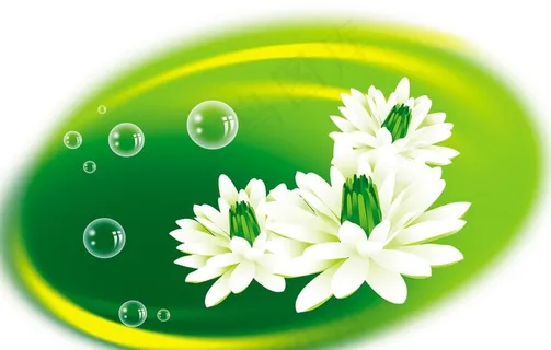绿花图片 绿花图片