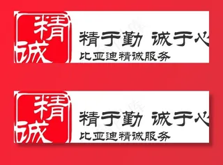 比亚迪 精诚服务图片