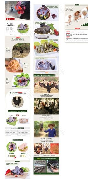 乌骨鸡详情页图片