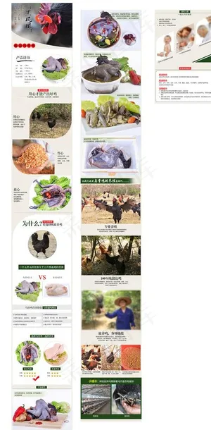 乌骨鸡详情页图片