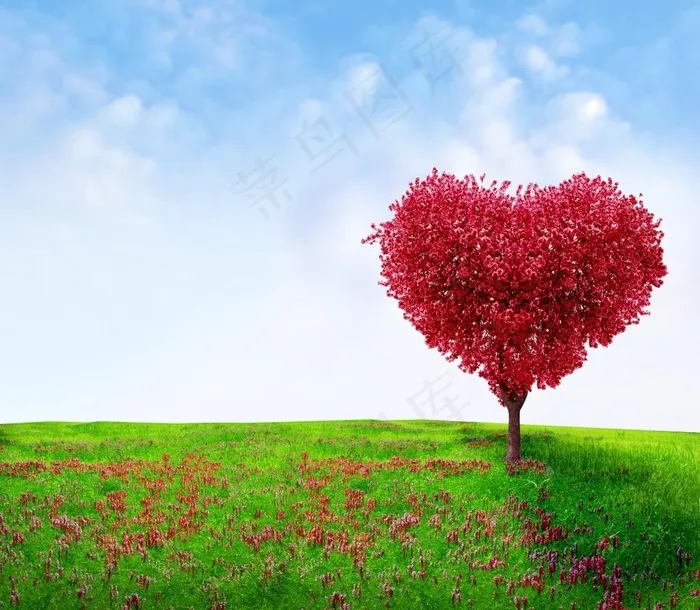 草原上的爱情树图片