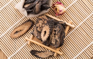 肉苁蓉图片